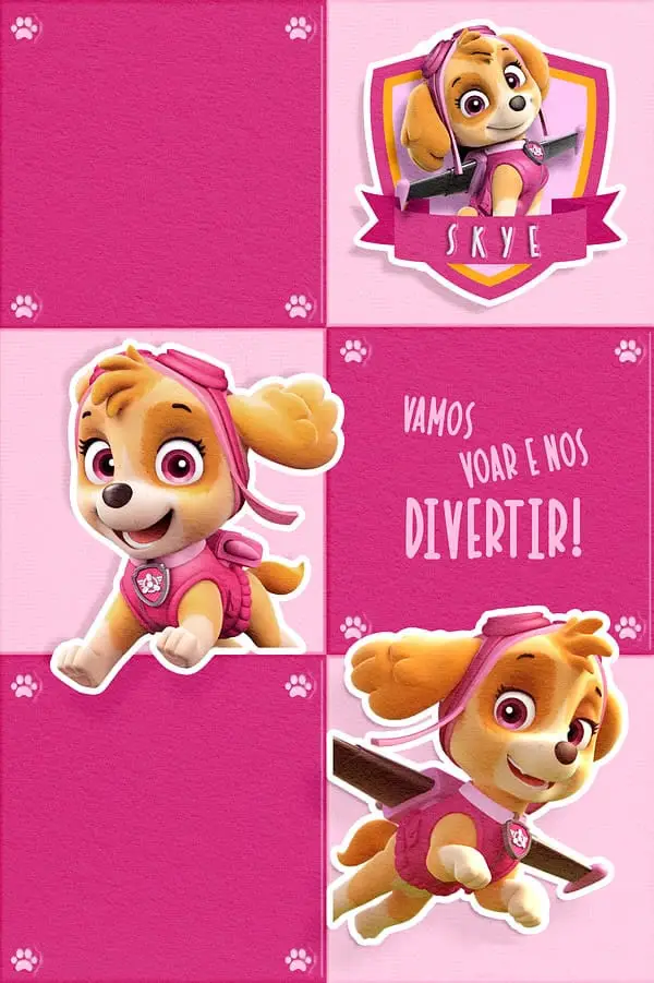 Patrulha Canina Feminino